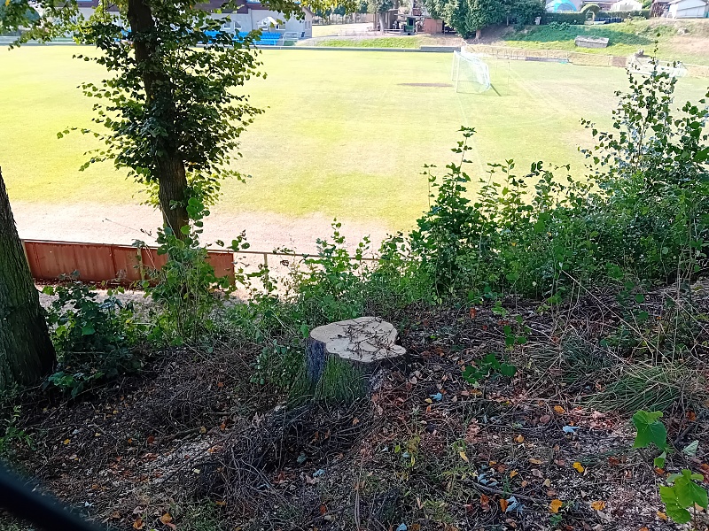 05-u fotbal hriste1.jpg